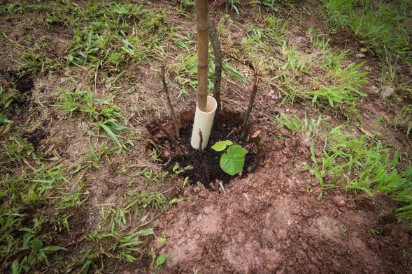 0234114357f5bc79bcb6d5ef1b8e2c70 f12492