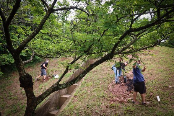 45ea9b9a045f1d11535426b6289e16a8 f12490