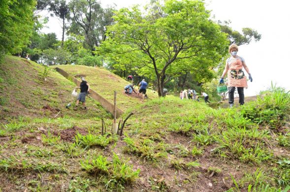 79111dd47fd46efba99aa0260a6d3809 f12489