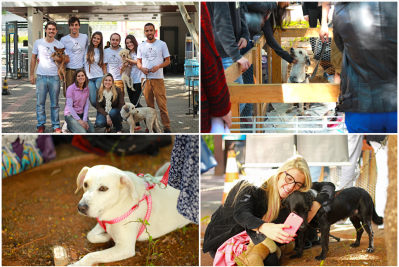 a78a0bdde089ad1208df1d25b2babcd9 f7654