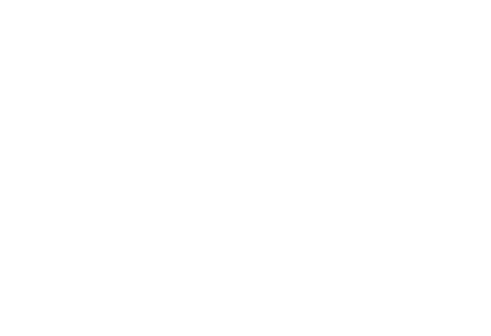Apex_Logo_branca